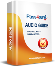 Audio Guide