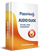 Audio Guide