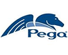 Pegasystems Certification Exams